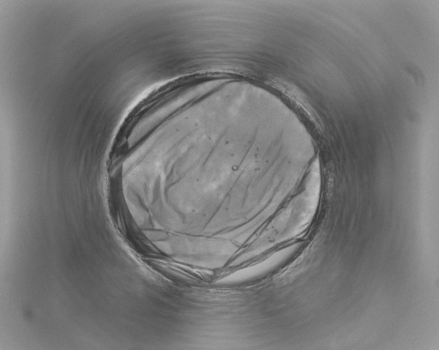 X0000114111024200911161114