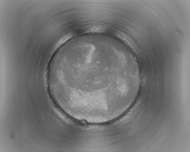 X0000114111026200911161114