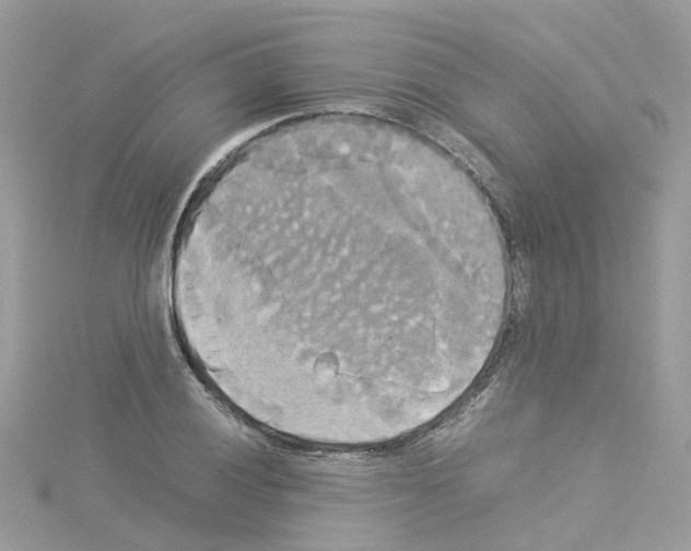 X0000114111028200911161114