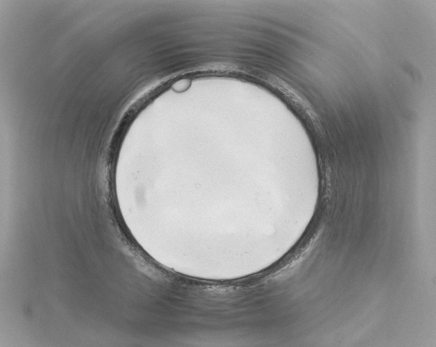 X0000114111029200911161114