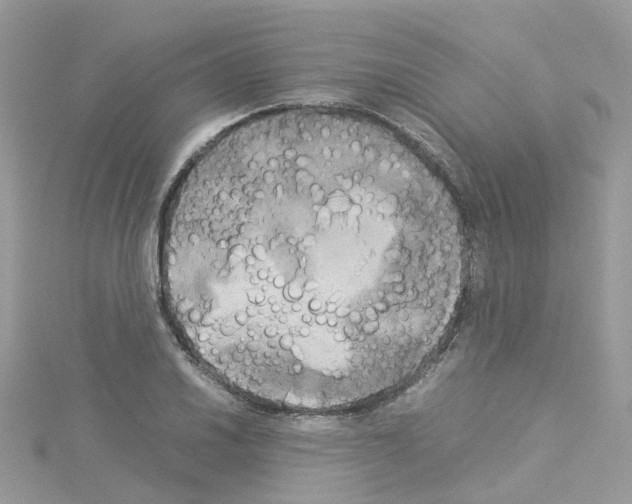 X0000114111030200911161114