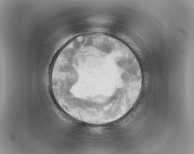 X0000114111031200911161114