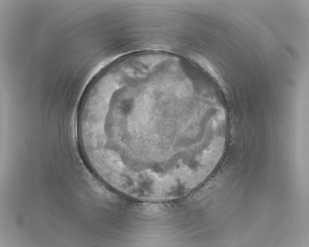 X0000114111032200911161114