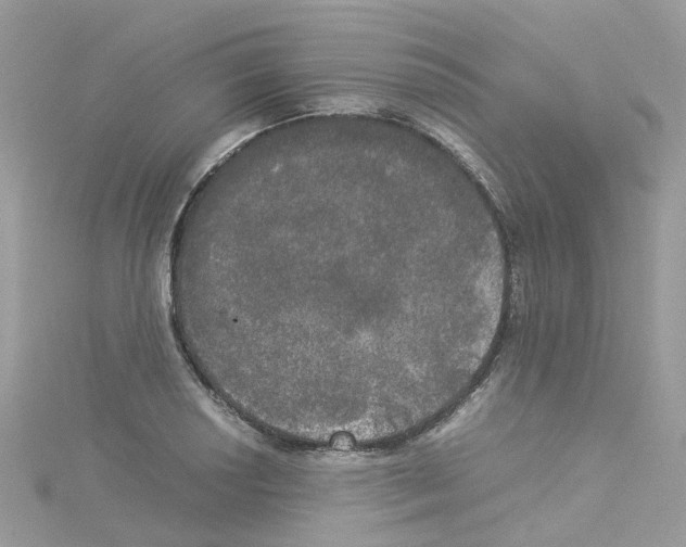 X0000114111034200911161114