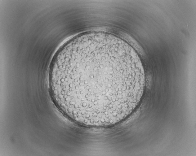 X0000114111036200911161114