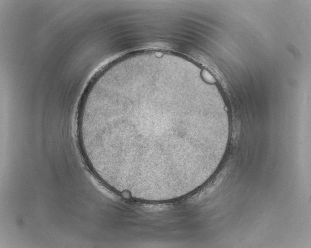 X0000114111037200911161114