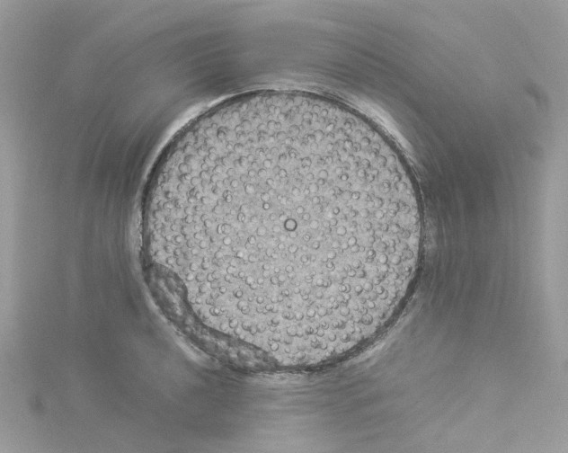 X0000114111040200911161114