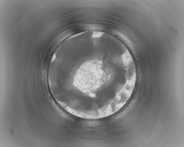 X0000114111041200911161114