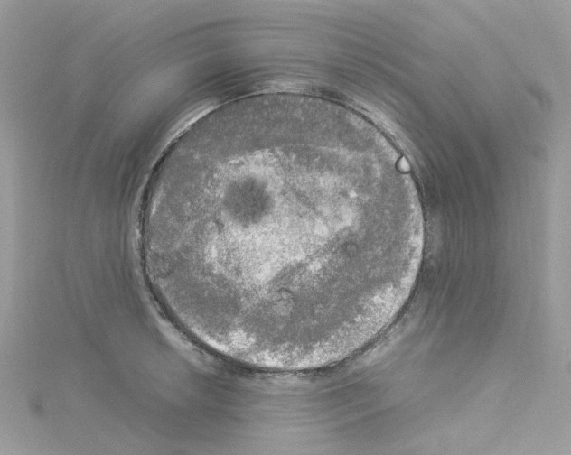 X0000114111042200911161114