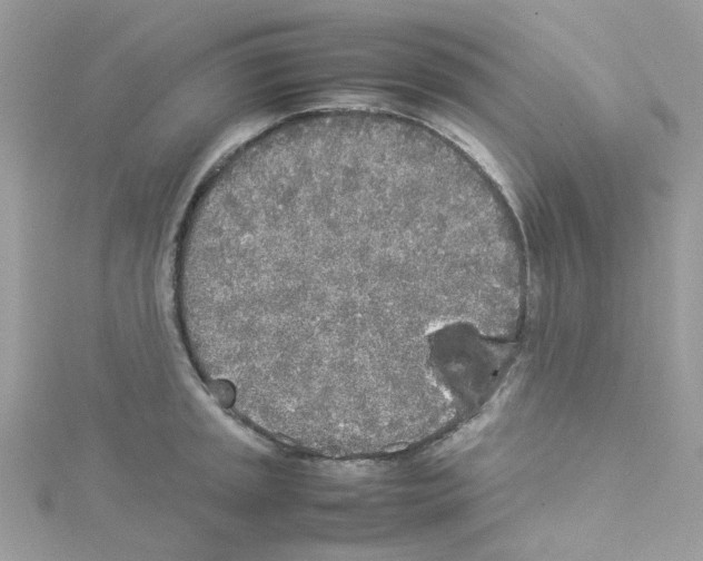 X0000114111045200911161114