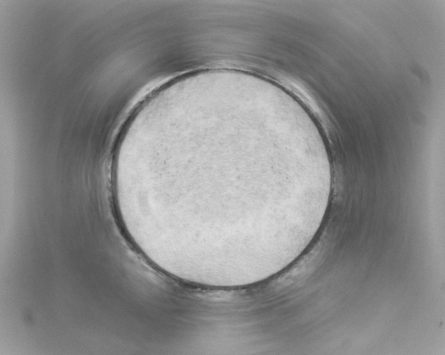 X0000114111048200911161114