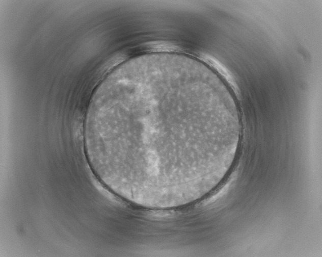 X0000114111049200911161115