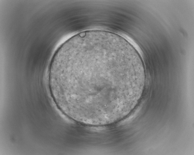 X0000114111053200911161115