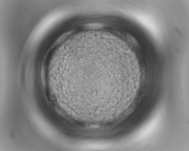 X0000114111054200911161115