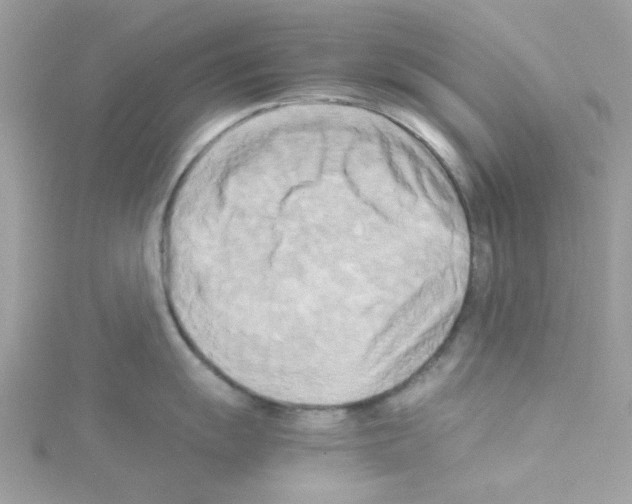 X0000114111055200911161115