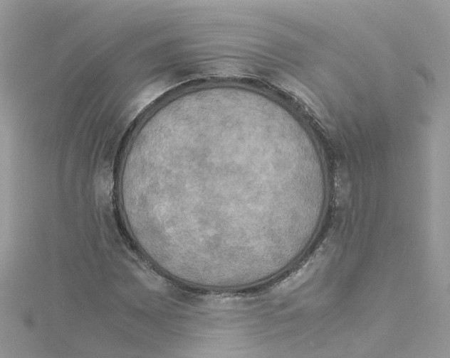 X0000114111065200911161114