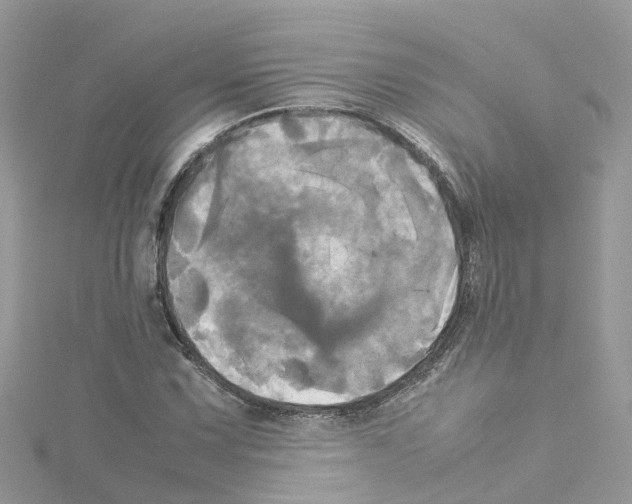 X0000114111067200911161114