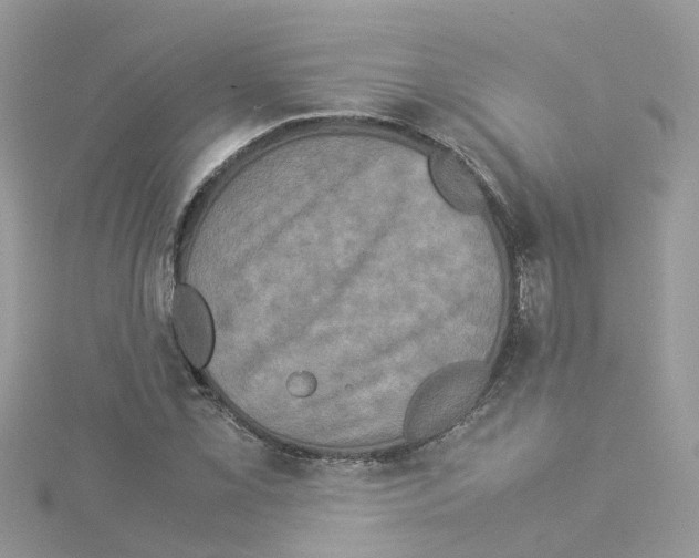 X0000114111069200911161114