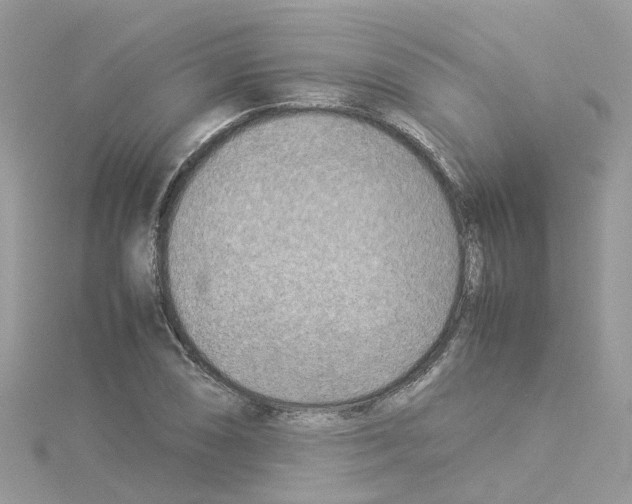 X0000114111074200911161114