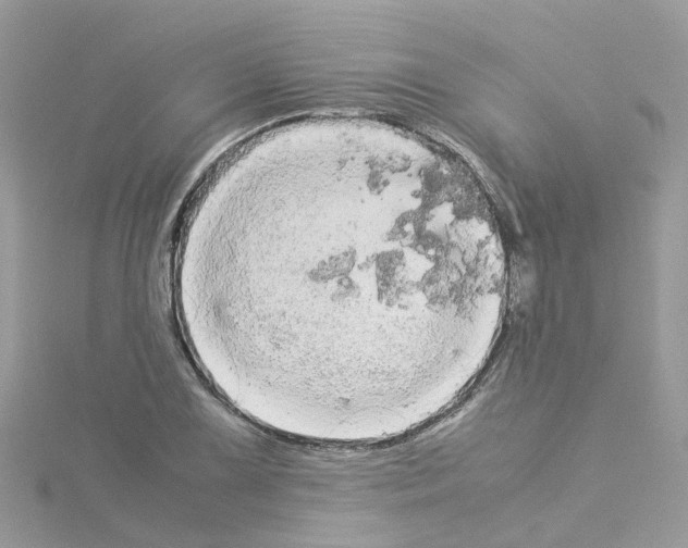 X0000114111075200911161114