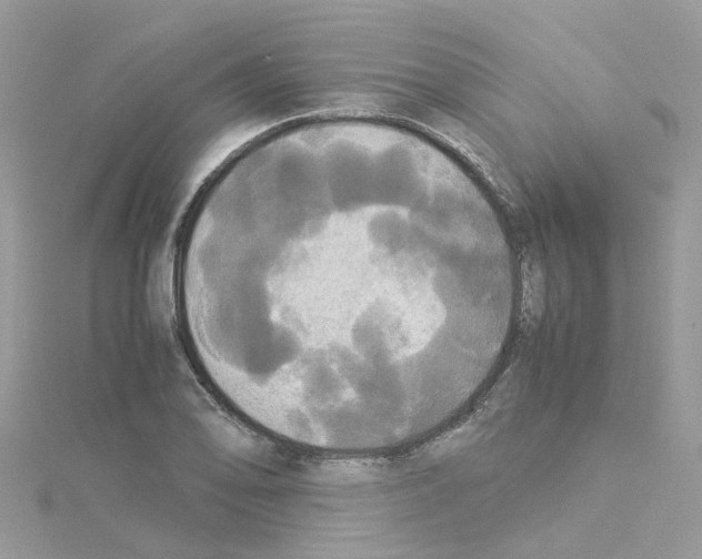 X0000114111078200911161114