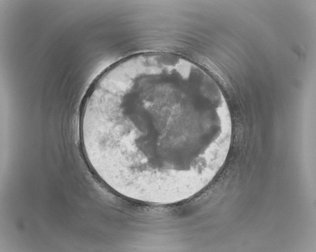 X0000114111079200911161114