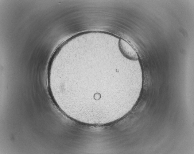 X0000114111080200911161114