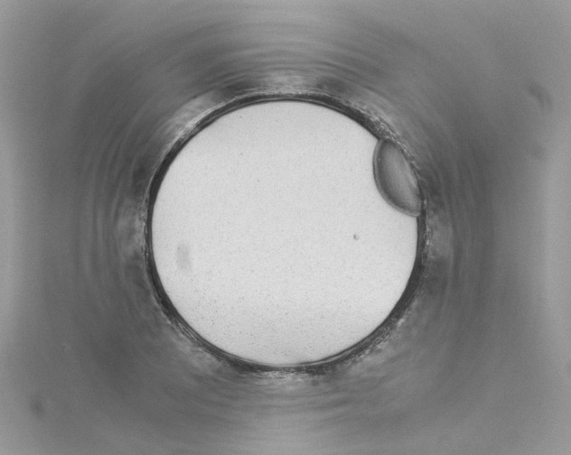 X0000114111081200911161114