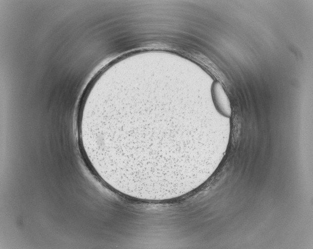 X0000114111084200911161114