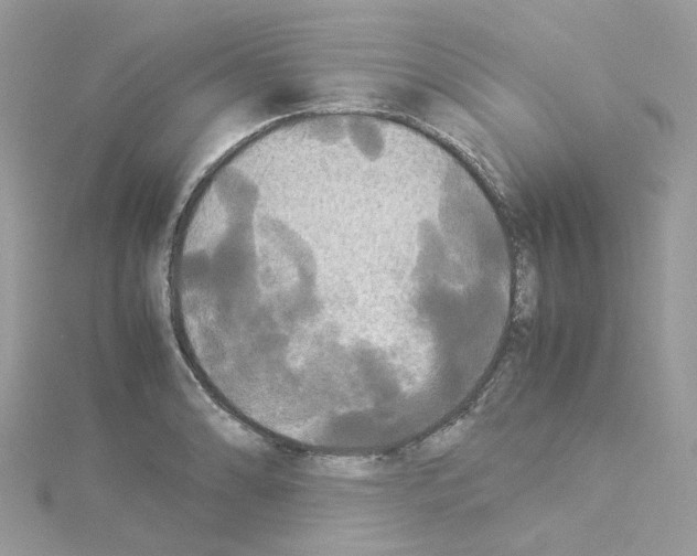 X0000114111086200911161114