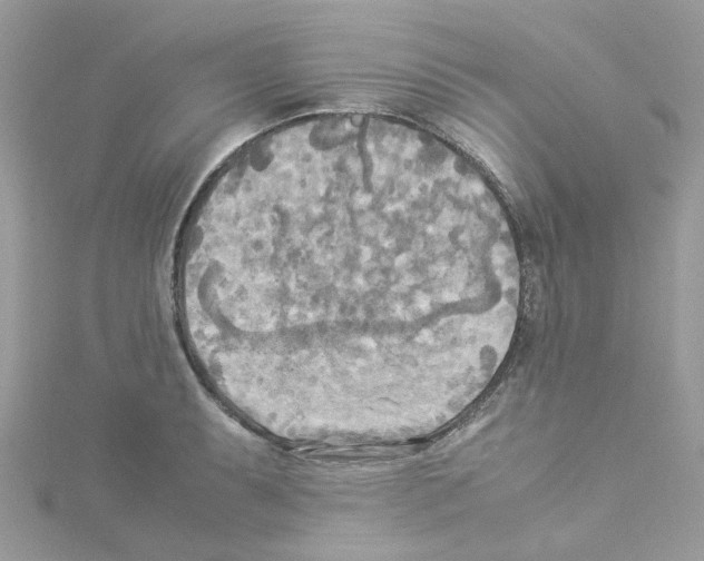 X0000114111087200911161114