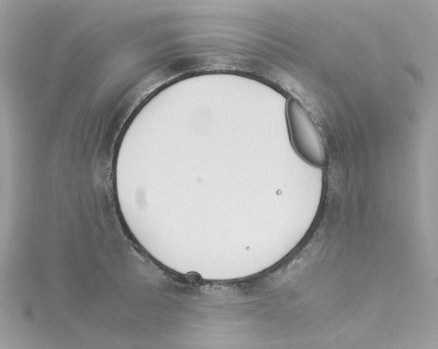 X0000114111089200911161114