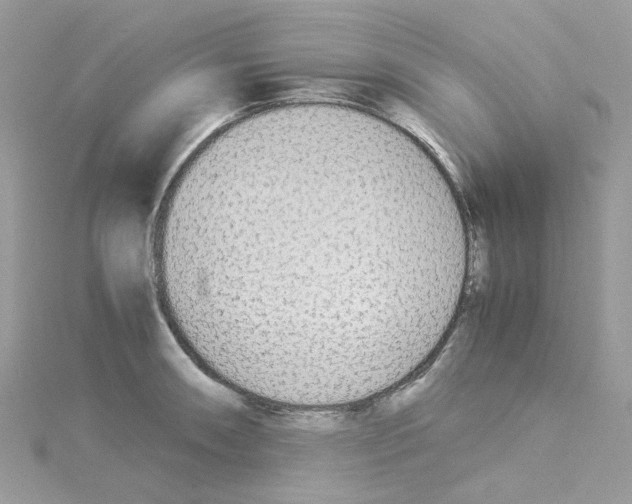 X0000114111090200911161114