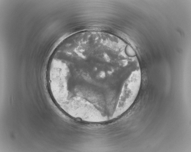 X0000114111091200911161114