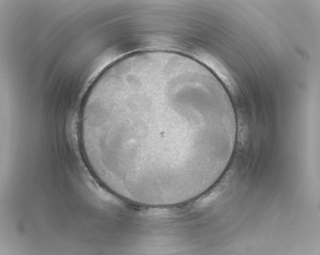 X0000114111094200911161114