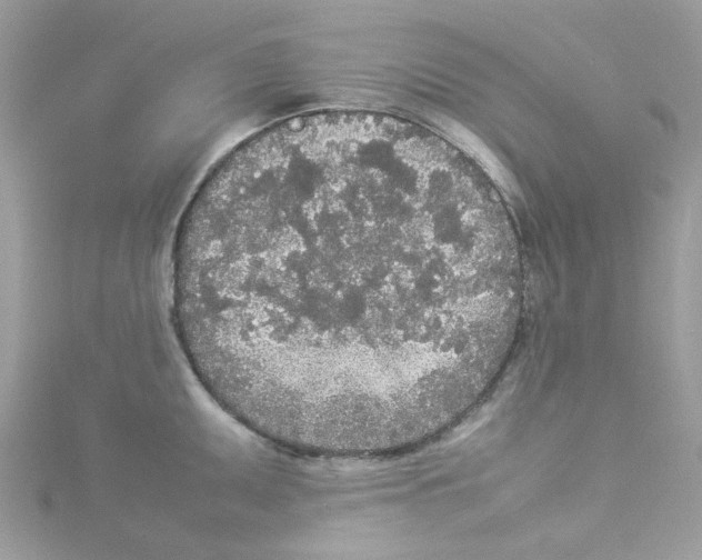 X0000114111095200911161113