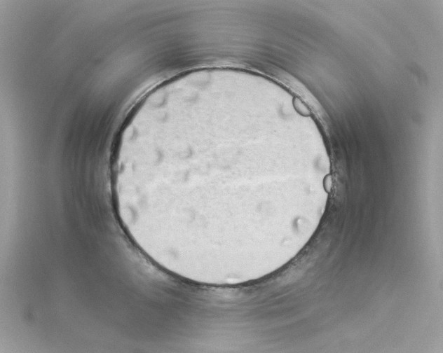 X0000114111096200911161113