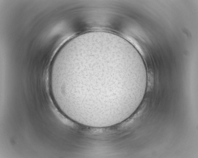 X0000114111098200911161113