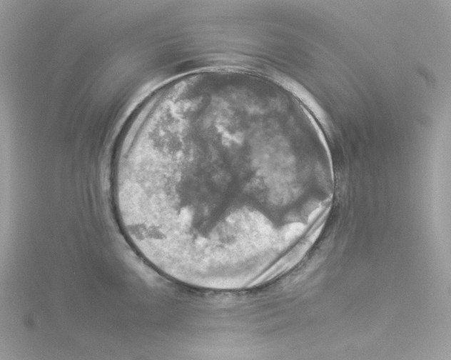 X0000114111099200911161113