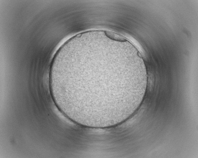 X0000114111100200911161113