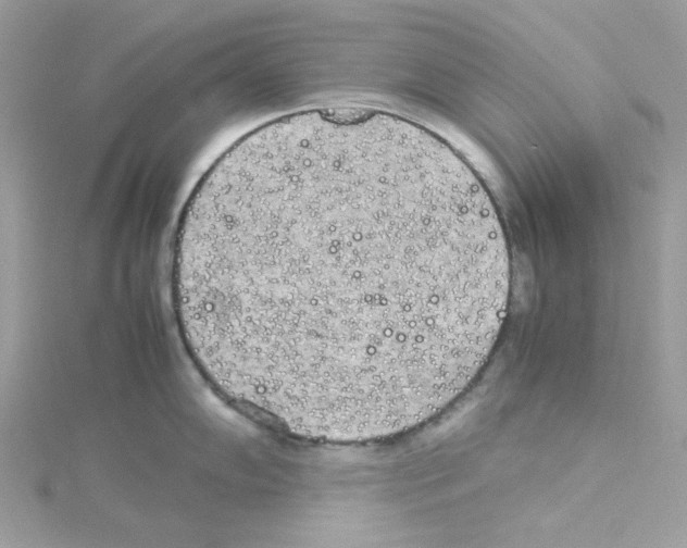 X0000114111102200911161113