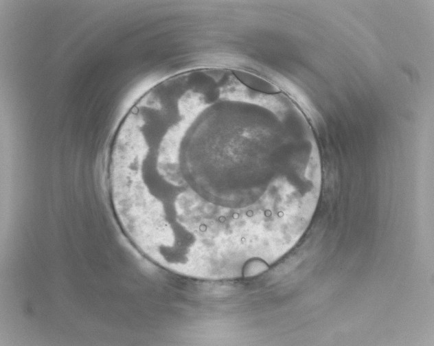 X0000114111103200911161113