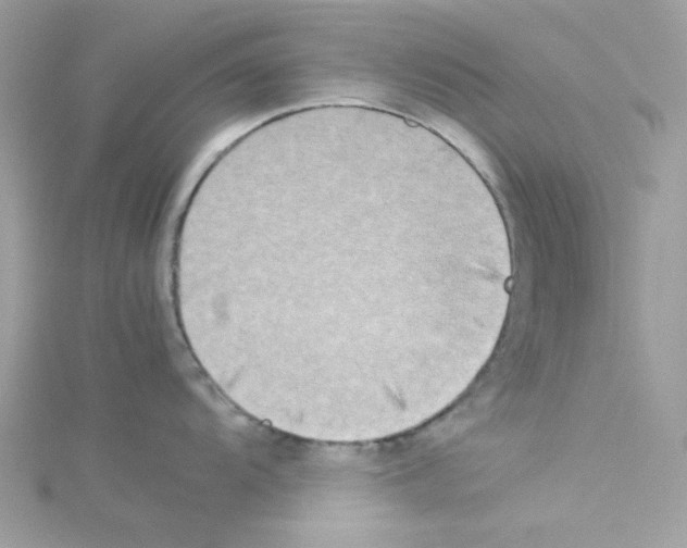 X0000114111104200911161113