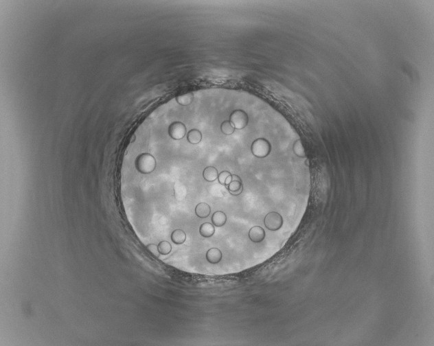 X0000114111105200911161113