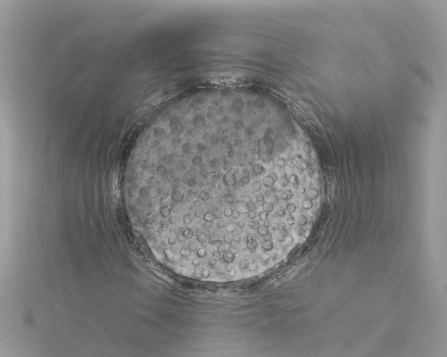 X0000114111106200911161113