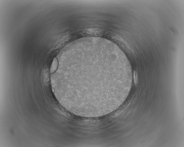 X0000114111107200911161113