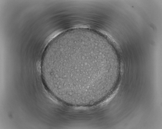 X0000114111113200911161113