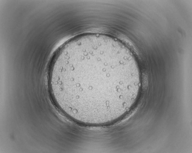 X0000114111114200911161113