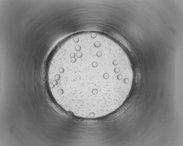 X0000114111116200911161113