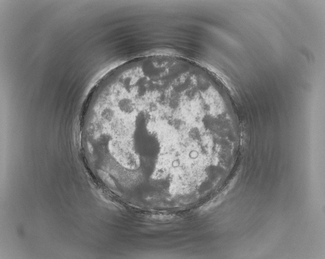 X0000114111117200911161113